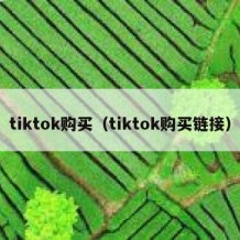 tiktok购买（tiktok购买链接）