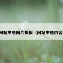 网站主题图片模板（网站主题内容）