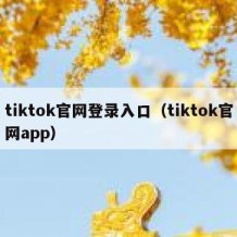 tiktok官网登录入口（tiktok官网app）