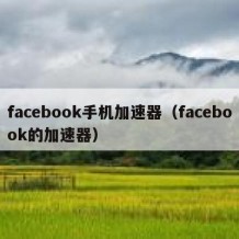 facebook手机加速器（facebook的加速器）