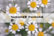 facebook运营（Facebook运营）