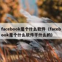 facebook是个什么软件（facebook是个什么软件干什么的）