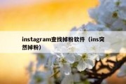 instagram查找掉粉软件（ins突然掉粉）