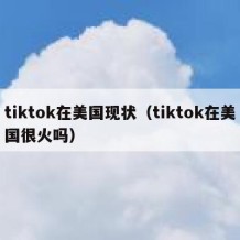 tiktok在美国现状（tiktok在美国很火吗）