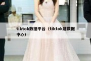 tiktok数据平台（tiktok建数据中心）