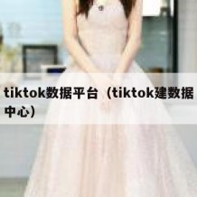 tiktok数据平台（tiktok建数据中心）