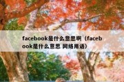 facebook是什么意思啊（facebook是什么意思 网络用语）