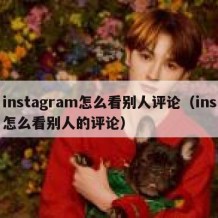 instagram怎么看别人评论（ins怎么看别人的评论）