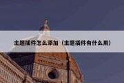 主题插件怎么添加（主题插件有什么用）