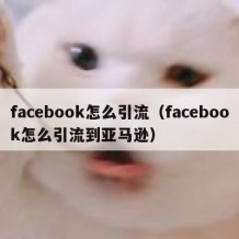 facebook怎么引流（facebook怎么引流到亚马逊）