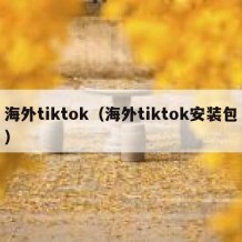 海外tiktok（海外tiktok安装包）