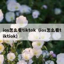 ios怎么看tiktok（ios怎么看tiktiok）