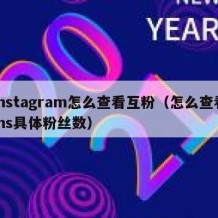 Instagram怎么查看互粉（怎么查看ins具体粉丝数）