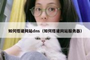 如何搭建网站dns（如何搭建网站服务器）