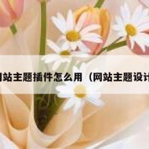 网站主题插件怎么用（网站主题设计）