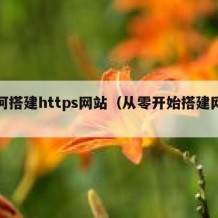 如何搭建https网站（从零开始搭建网站）