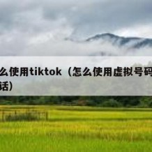 怎么使用tiktok（怎么使用虚拟号码打电话）