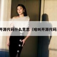 开源代码什么意思（啥叫开源代码）