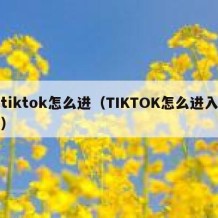 tiktok怎么进（TIKTOK怎么进入）