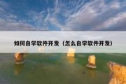 如何自学软件开发（怎么自学软件开发）