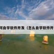 如何自学软件开发（怎么自学软件开发）