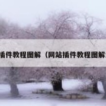 网站插件教程图解（网站插件教程图解大全）