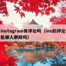 instagram有评论吗（ins的评论能被人删除吗）