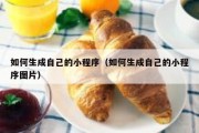 如何生成自己的小程序（如何生成自己的小程序图片）