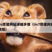 iis搭建网站详细步骤（iis7搭建网站教程）