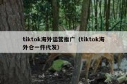 tiktok海外运营推广（tiktok海外仓一件代发）