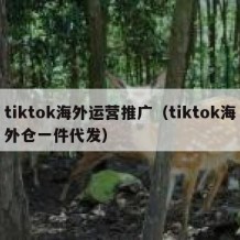 tiktok海外运营推广（tiktok海外仓一件代发）