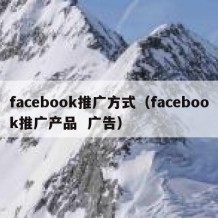 facebook推广方式（facebook推广产品  广告）