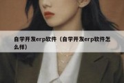 自学开发erp软件（自学开发erp软件怎么样）