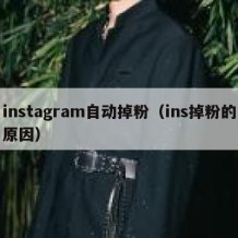 instagram自动掉粉（ins掉粉的原因）