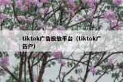 tiktok广告投放平台（tiktok广告户）