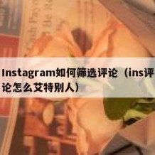 Instagram如何筛选评论（ins评论怎么艾特别人）