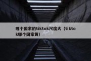 哪个国家的tiktok尺度大（tiktok哪个国家黄）