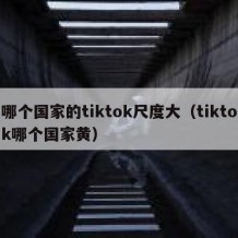 哪个国家的tiktok尺度大（tiktok哪个国家黄）