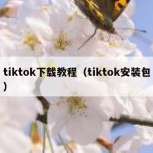 tiktok下载教程（tiktok安装包）