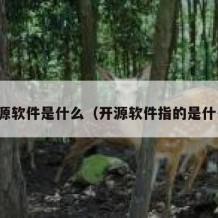 开源软件是什么（开源软件指的是什么）