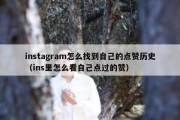 instagram怎么找到自己的点赞历史（ins里怎么看自己点过的赞）