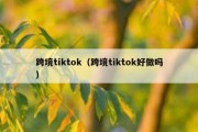 跨境tiktok（跨境tiktok好做吗）