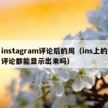 instagram评论后的周（ins上的评论都能显示出来吗）