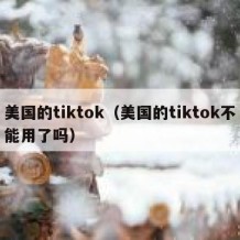 美国的tiktok（美国的tiktok不能用了吗）