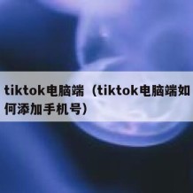 tiktok电脑端（tiktok电脑端如何添加手机号）