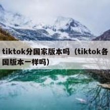 tiktok分国家版本吗（tiktok各国版本一样吗）