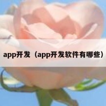 app开发（app开发软件有哪些）