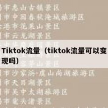 Tiktok流量（tiktok流量可以变现吗）