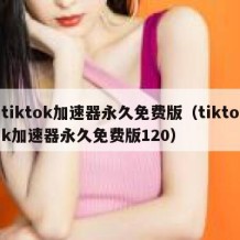 tiktok加速器永久免费版（tiktok加速器永久免费版120）