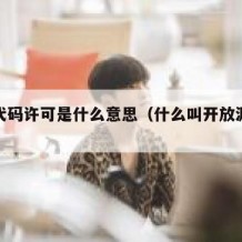 开源代码许可是什么意思（什么叫开放源代码许可）